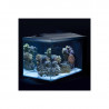 ACUARIO MARINO FLUVAL EVO 52 LITROS ( ENVIO GRATIS )