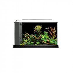 Nano Acuario Fluval Spec  19 LITROS ( ENVIO GRATIS )