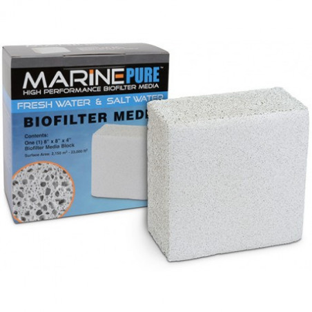 MARINE PURE BLOCK 20x20x10 cm