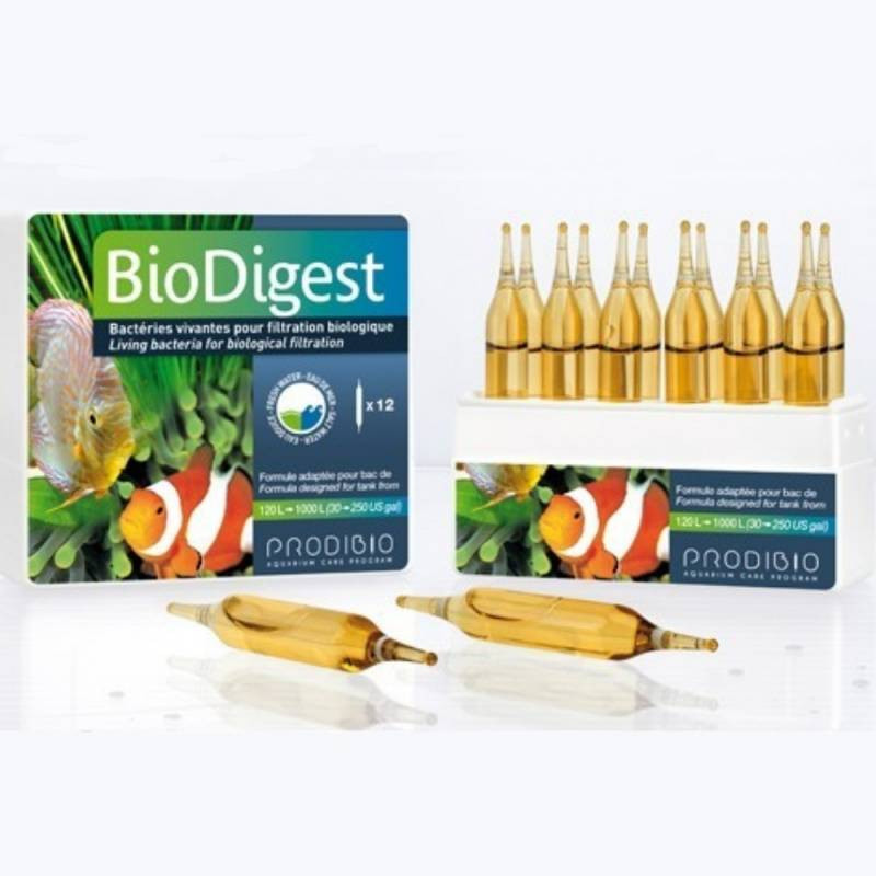 BIO DIGEST 12 ampollas