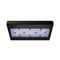 Radion XR30G6 BLUE LED Light