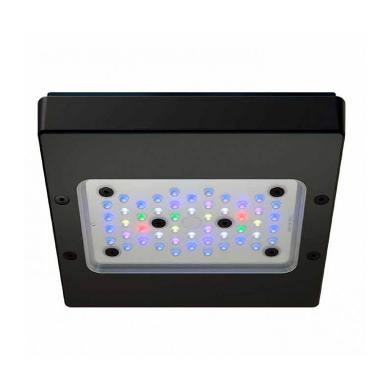 Radion XR15G6 BLUE LED Light