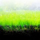 Bio-Stratum Fluval - 2 kg